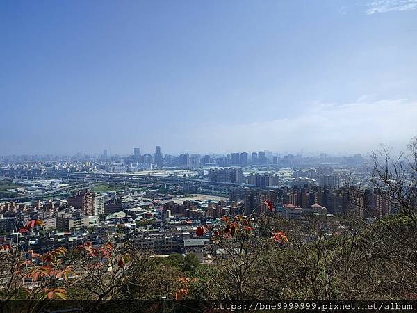 LINE_ALBUM_水堆景觀公園賞櫻花_230316_10.jpg