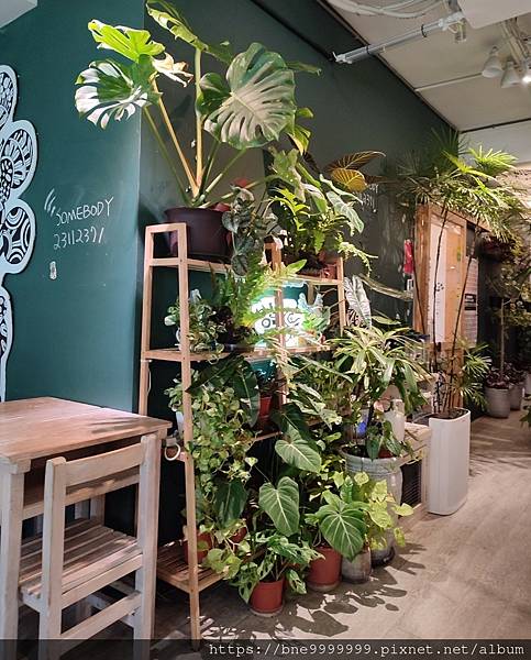 台北市 萬華區│「Somebody Cafe」植物插畫廊貳拾