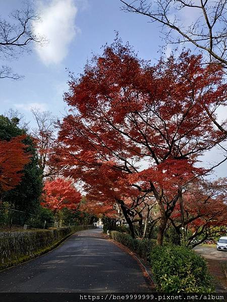 LINE_ALBUM_京都八坂神社_240308_12.jpg