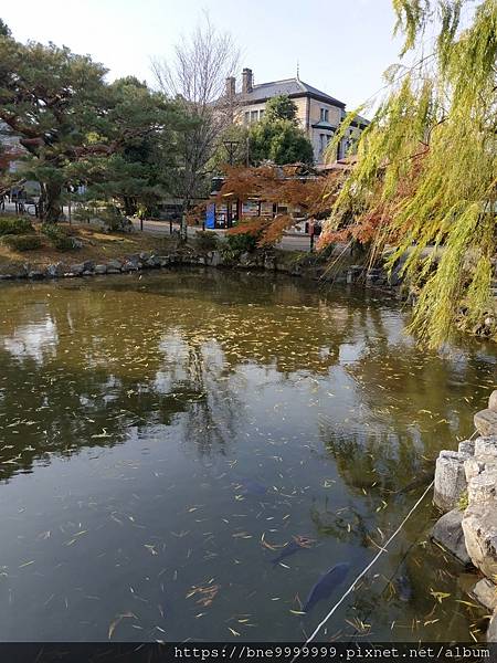 LINE_ALBUM_京都八坂神社_240308_27.jpg