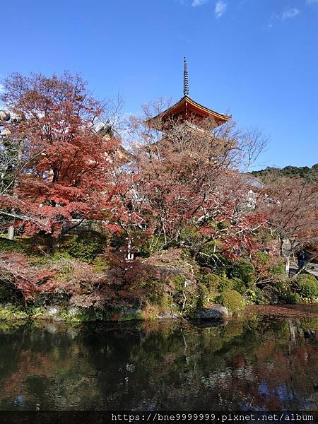 LINE_ALBUM_清水寺_240308_4.jpg