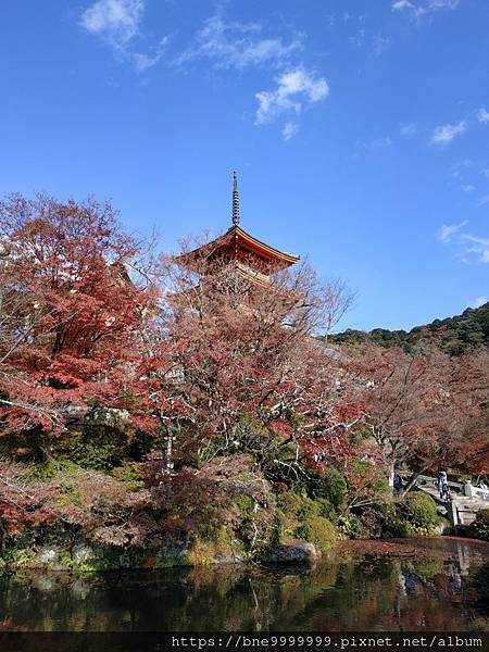 LINE_ALBUM_清水寺_240308_2.jpg