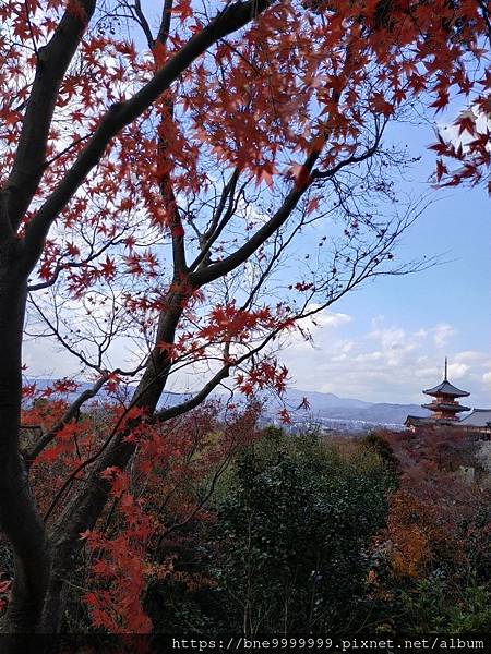 LINE_ALBUM_清水寺_240308_17.jpg