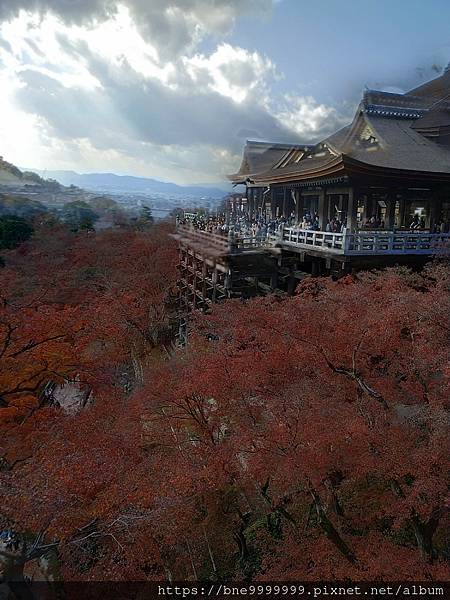 LINE_ALBUM_清水寺_240308_24.jpg