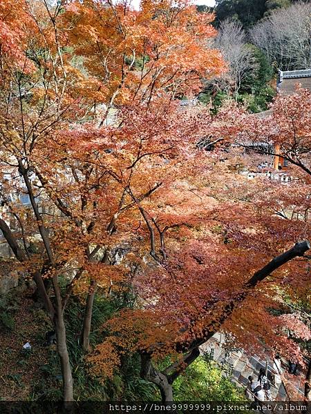 LINE_ALBUM_清水寺_240308_27.jpg