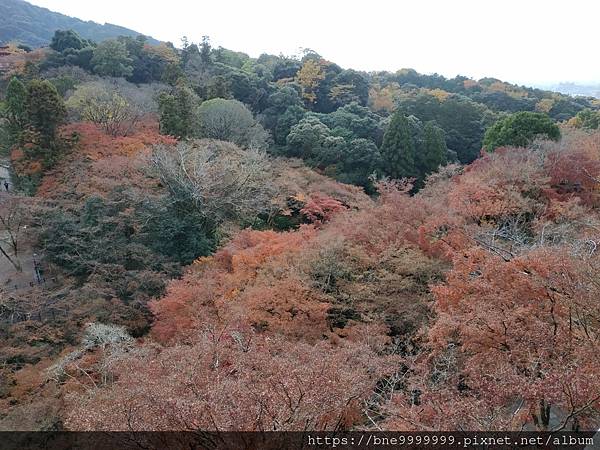 LINE_ALBUM_清水寺_240308_31.jpg