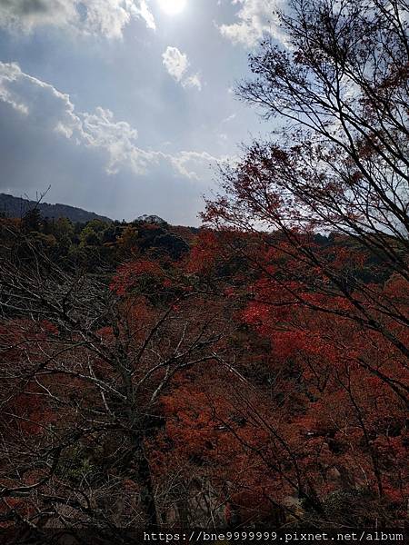 LINE_ALBUM_清水寺_240308_34.jpg