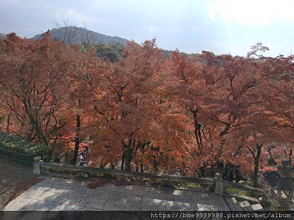 LINE_ALBUM_清水寺_240308_36.jpg