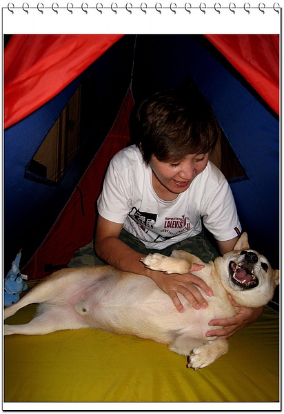 15.jpg 15.jpg