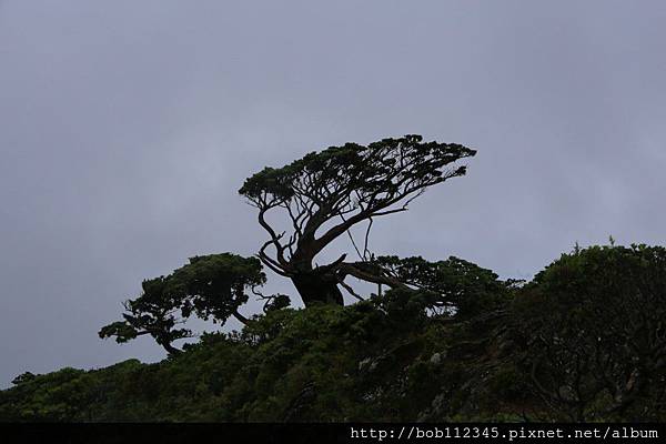 格式工廠IMG_3035 格式工廠IMG_3035