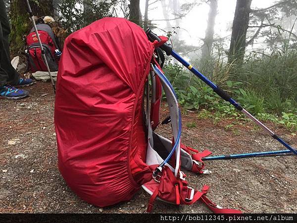 12242128_1204593609557493_2043349654_n