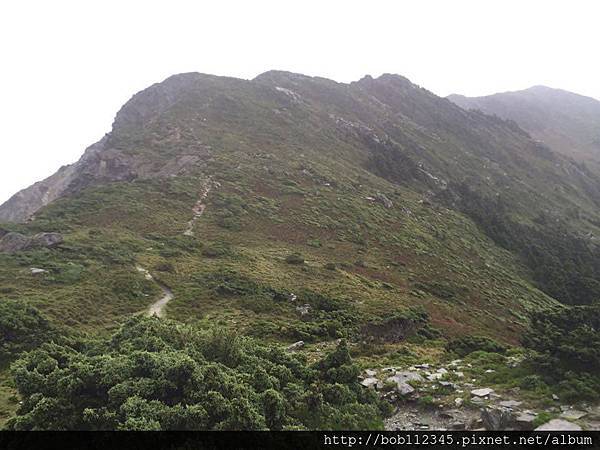 12243874_1204593606224160_276634818_n