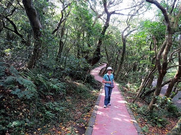 小旅行。二子坪。步道生態