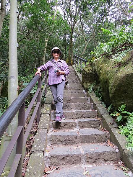 背包侶行。鯉魚山圓覺寺。環狀親山步道