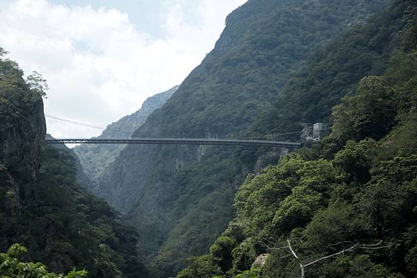 IMG_5579.jpg IMG_5579.jpg