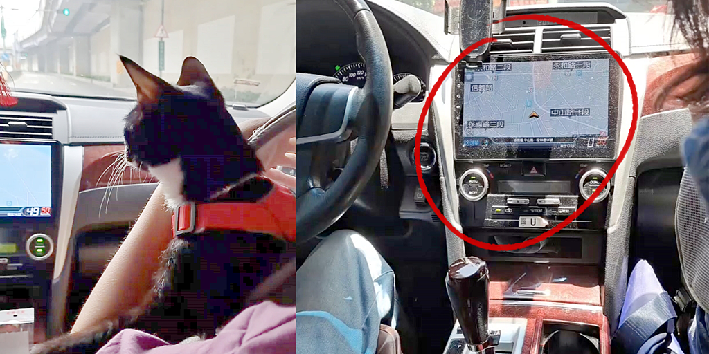 【綠綠好日-汽車冷氣濾網】高效抗病毒2in1維持車內最佳空氣