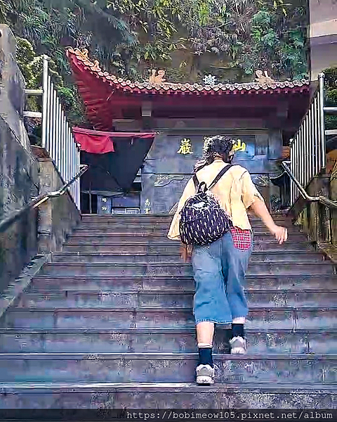 【康得適評價】MIT台灣製護踝分享運動專用護踝分享,受傷後