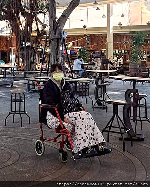 【康得適評價】MIT台灣製護踝分享運動專用護踝分享,受傷後 【康得適評價】MIT台灣製護踝分享運動專用護踝分享,受傷後