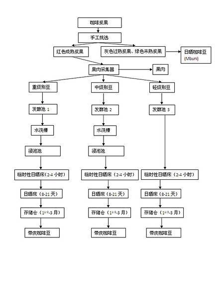 coffee process