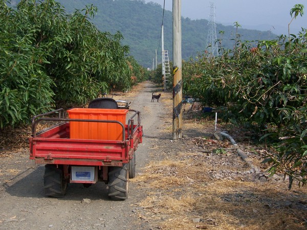 小黑會跟著我們ㄉ搬運車一起出動~~~很乖