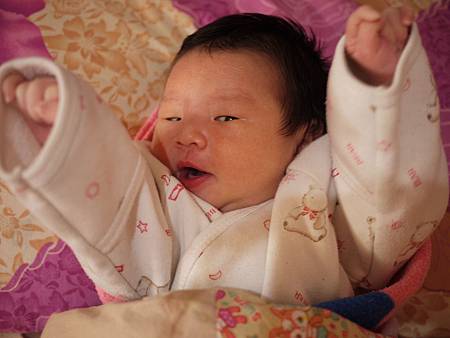 2012.03.08-005 2012.03.08-005