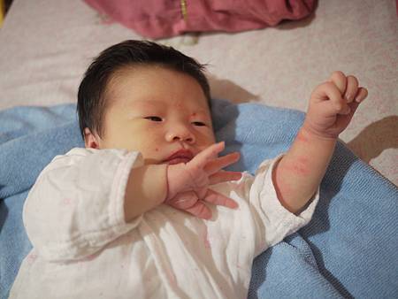 2012.03.08-007 2012.03.08-007