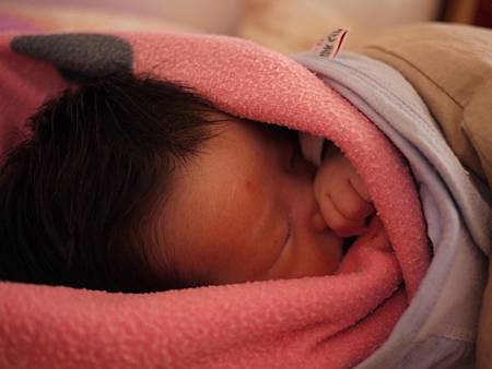 2012.03.08-014 2012.03.08-014