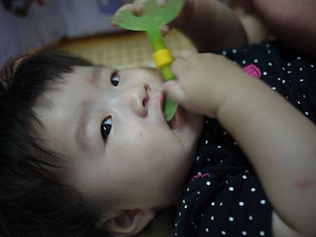 2013.07.07-012 2013.07.07-012