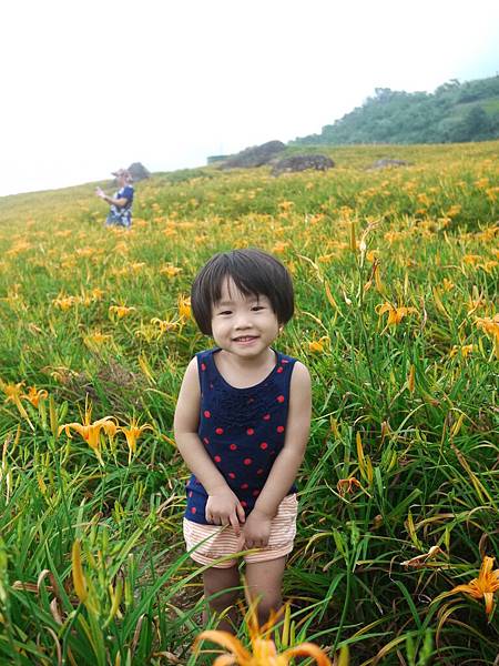 P1290994 P1290994
