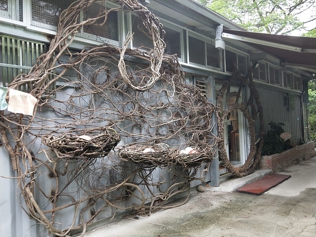 IMG20230421105337.jpg - 新北 新店 碧潭 貓谷 2023/0420/0421