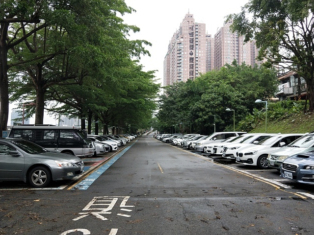 IMG20230420120633.jpg - 新北 新店 碧潭 貓谷 2023/0420/0421