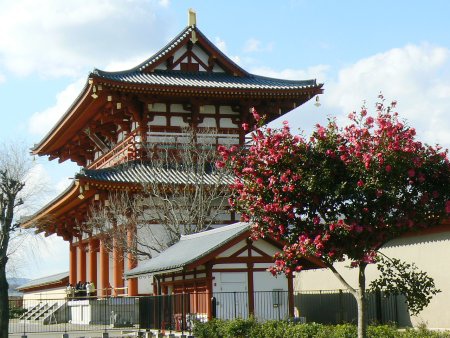 平城宮跡山茶花.jpg