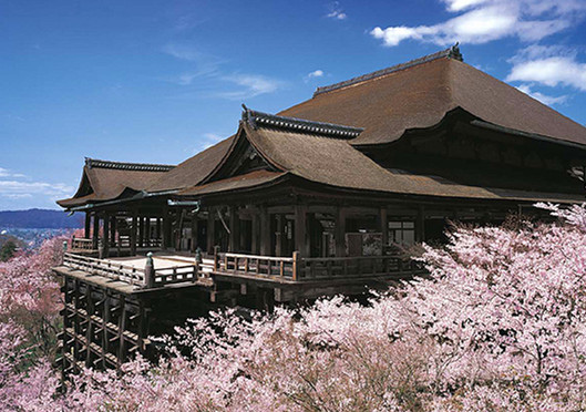 清水寺 櫻花.jpg