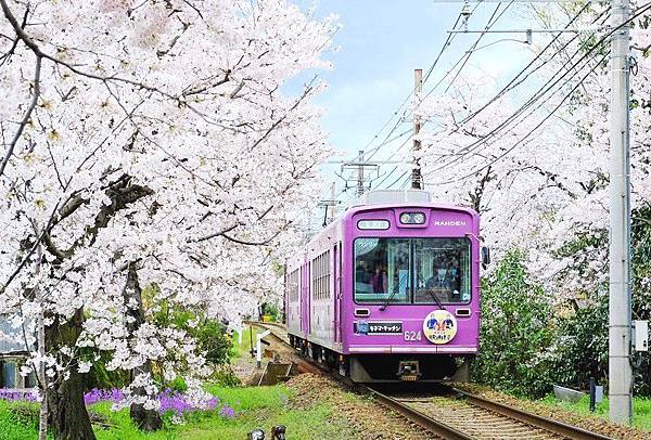 嵐電櫻花隧道.jpg