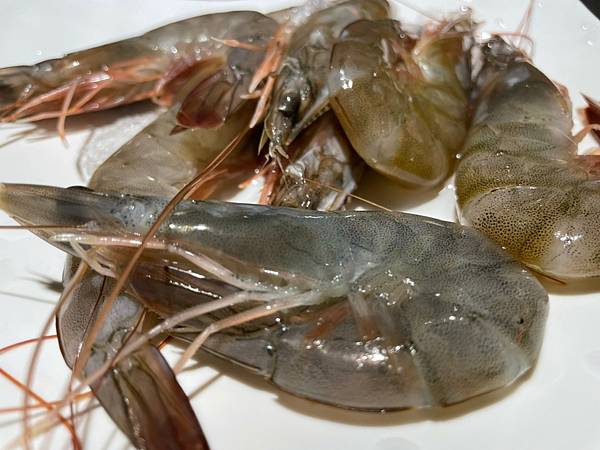 LINE_ALBUM_辛殿-松江店_211126_29