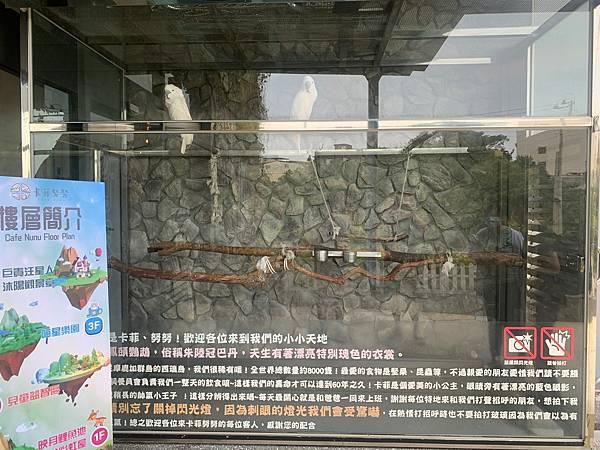 LINE_ALBUM_11181卡菲努努親子寵物餐廳(合作文2750元)要短影、有攝影_220804_74 LINE_ALBUM_11181卡菲努努親子寵物餐廳(合作文2750元)要短影、有攝影_220804_74
