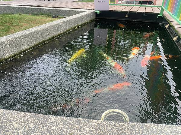 LINE_ALBUM_11181卡菲努努親子寵物餐廳(合作文2750元)要短影、有攝影_220804_86 LINE_ALBUM_11181卡菲努努親子寵物餐廳(合作文2750元)要短影、有攝影_220804_86