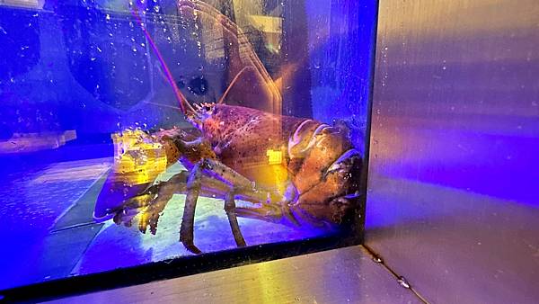 新莊美食|新莊火鍋|春夏”秋”冬【新北市新莊區】很秋鍋物-新莊店 - 第13張圖 LINE_ALBUM_14很秋鍋物-新莊店_230106_68