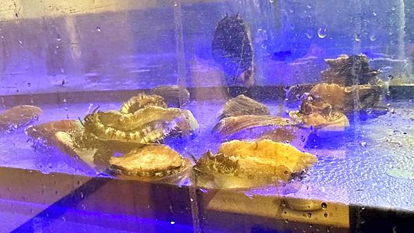 新莊美食|新莊火鍋|春夏”秋”冬【新北市新莊區】很秋鍋物-新莊店 - 第14張圖 LINE_ALBUM_14很秋鍋物-新莊店_230106_66