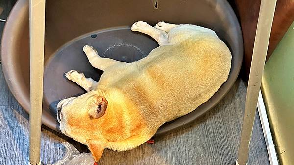 外帶美食|外送美食|新店美食|千層蛋糕|美式餐廳|寵物友善【新北市新店區】Eat enjoy意享美式廚房-新店店 - 第9張圖 LINE_ALBUM_意享_230824_82