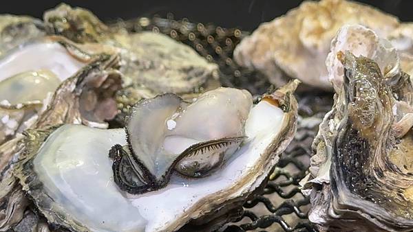 淡水美食⎜淡水燒烤⎜2月份新菜單⎜平價燒烤吃到飽【新北市淡水