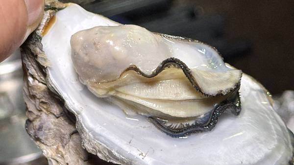 淡水美食⎜淡水燒烤⎜2月份新菜單⎜平價燒烤吃到飽【新北市淡水