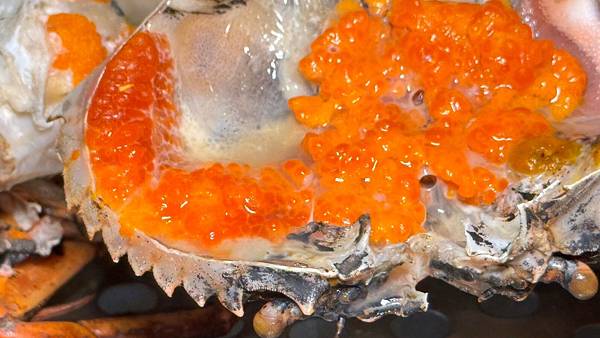 LINE_ALBUM_沙茶爐_240313_66