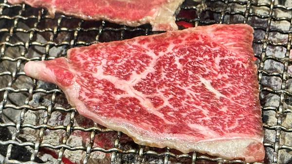 LINE_ALBUM_潮肉_241001_144