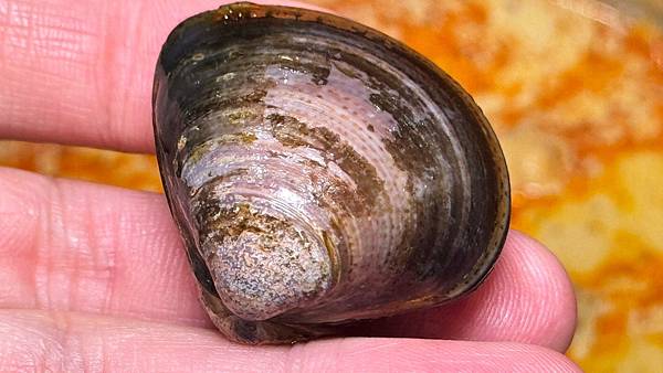 LINE_ALBUM_94咖哩嬢_241204_130 LINE_ALBUM_94咖哩嬢_241204_130