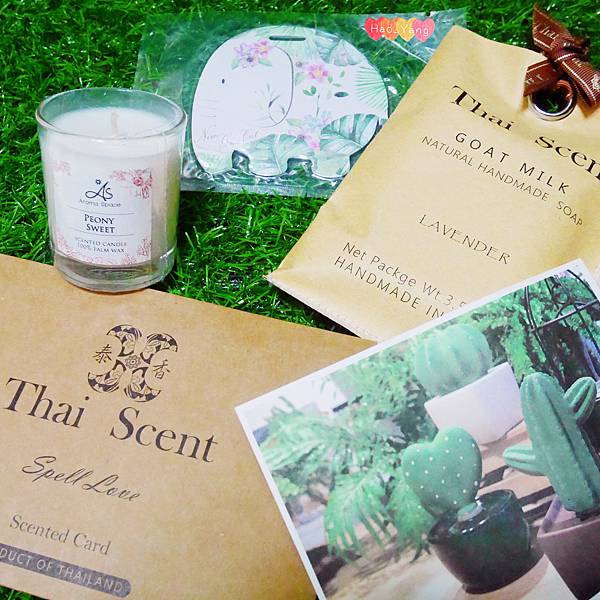 IMG_6991.JPG IMG_6991.JPG