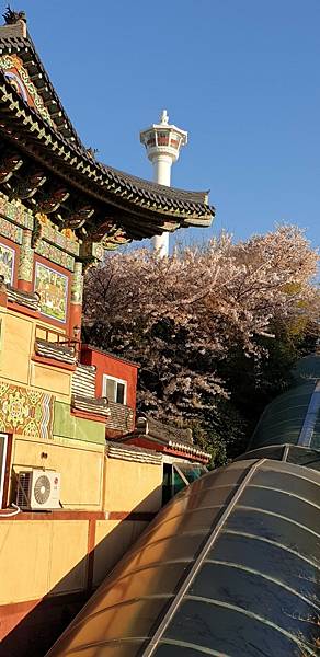 line_155412869482411.jpg line_155412869482411.jpg