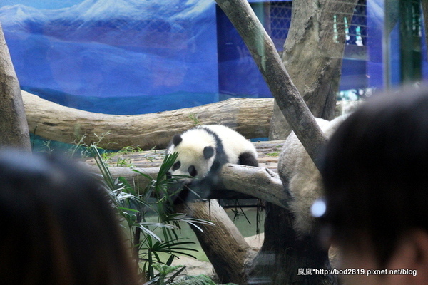 cm20140121___089dc0801132a54ab6dab1719d5