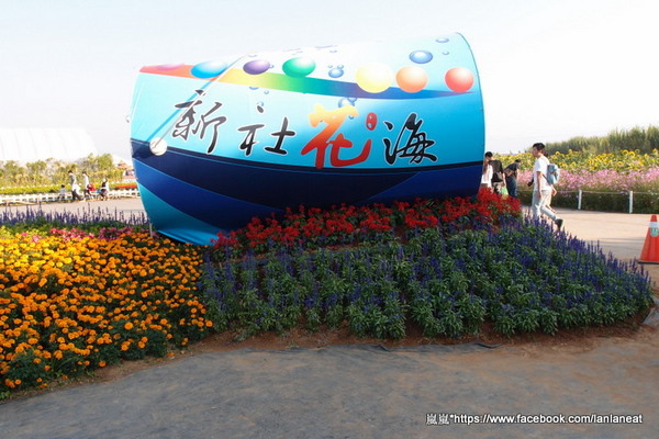 2013新社花海「花間 漫遊 樂悠遊」:【台中新社】2013新社花海-超美花海一日遊,拍照好地方! 2013新社花海「花間 漫遊 樂悠遊」:【台中新社】2013新社花海-超美花海一日遊,拍照好地方!