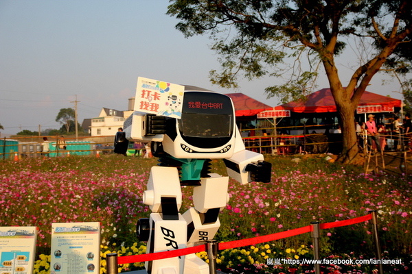 2013新社花海「花間 漫遊 樂悠遊」:【台中新社】2013新社花海-超美花海一日遊,拍照好地方! 2013新社花海「花間 漫遊 樂悠遊」:【台中新社】2013新社花海-超美花海一日遊,拍照好地方!